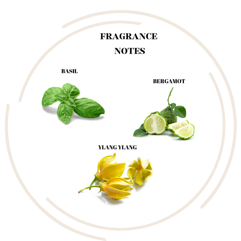 All Day Munchies - Scented Soy Candle – Basil, Bergamot & Ylang Ylang – 7.4oz